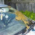 Catalin Jeleriu masina vandalizata Cotu Vames 3940