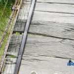 punte Cotu Vames 4499