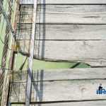 punte Cotu Vames 4508