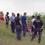 inec pod Ion Creanga 5942