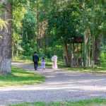 Castelul Sturdza Miclauseni Calatorie la 1900 9250