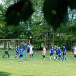 memorialul Ionut Segneanu 9601