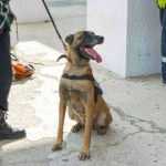 Exercitiu pompieri Casa de Cultura 9894