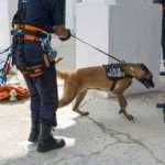 Exercitiu pompieri Casa de Cultura 9898