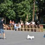 Mușatinii i-au convins pe romașcani să facă mișcare 7 Kult Fest 2 Romanul se misca bine 0690