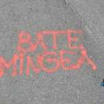 Mușatinii i-au convins pe romașcani să facă mișcare 8 Kult Fest 2 Romanul se misca bine 0691