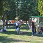 Mușatinii i-au convins pe romașcani să facă mișcare 22 Kult Fest 2 Romanul se misca bine 0732