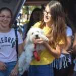 Mușatinii i-au convins pe romașcani să facă mișcare 35 Kult Fest 2 Romanul se misca bine 0815