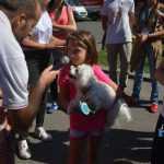 Mușatinii i-au convins pe romașcani să facă mișcare 36 Kult Fest 2 Romanul se misca bine 0818