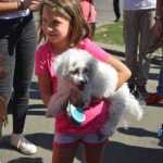 Mușatinii i-au convins pe romașcani să facă mișcare 37 Kult Fest 2 Romanul se misca bine 0823