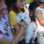 Mușatinii i-au convins pe romașcani să facă mișcare 38 Kult Fest 2 Romanul se misca bine 0827