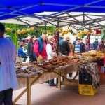 Targul Magia Toamnei 2293