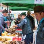 Targul Magia Toamnei 2308