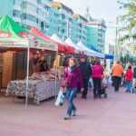 Targul Magia Toamnei 2393