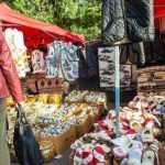 Targul Magia Toamnei 2407