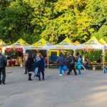 Targul Magia Toamnei 2414