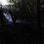 incendiu vegetatie 1