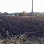 incendiu vegetatie 3