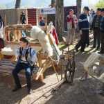 Ziua Femeii de la Tara Tasca 3408