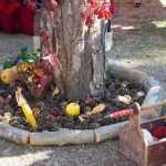 Ziua Femeii de la Tara Tasca 3413