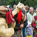 Festival de datini si obiceiuri 6938