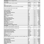 Proiect de buget Roman 2018 6