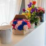 Avantgarde Roman DSC 9623