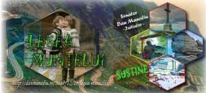 Legea muntelui2 01 1024x465