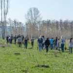 Ocolul Silvic Roman plantare copaci la Ion Creanga 2851