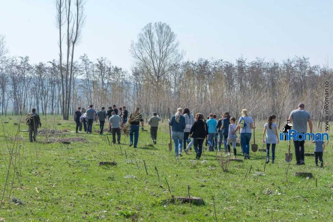 Ocolul Silvic Roman plantare copaci la Ion Creanga 2851