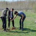 Ocolul Silvic Roman plantare copaci la Ion Creanga 2871