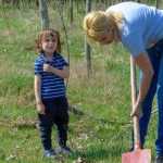 Ocolul Silvic Roman plantare copaci la Ion Creanga 2876