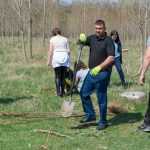 Ocolul Silvic Roman plantare copaci la Ion Creanga 2896