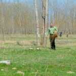 Ocolul Silvic Roman plantare copaci la Ion Creanga 2898