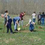 Ocolul Silvic Roman plantare copaci la Ion Creanga 2905