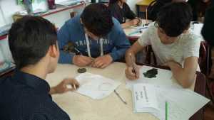 Istoria fara manual 3