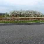 centura Roman Est gropi 3088