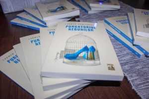 Purgatoriul nebunilor