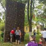 Foto: Timp de două zile, Romanul a făcut mișcare 25 Bucurie in miscare 123458