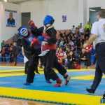 Romanul a fost gazda Campionatului Național de Qwan Ki Do 35 Qwan Ki Do campionatul national 5320