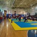 Romanul a fost gazda Campionatului Național de Qwan Ki Do 43 Qwan Ki Do campionatul national 5373