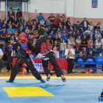 Romanul a fost gazda Campionatului Național de Qwan Ki Do 46 Qwan Ki Do campionatul national 5403
