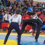 Romanul a fost gazda Campionatului Național de Qwan Ki Do 50 Qwan Ki Do campionatul national 5429