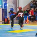 Romanul a fost gazda Campionatului Național de Qwan Ki Do 51 Qwan Ki Do campionatul national 5430