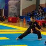 Romanul a fost gazda Campionatului Național de Qwan Ki Do 54 Qwan Ki Do campionatul national 5453