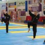 Romanul a fost gazda Campionatului Național de Qwan Ki Do 82 Qwan Ki Do campionatul national 5677