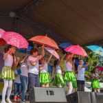 zilele orasului 0026