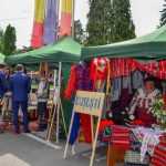 zilele orasului 0238