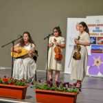 zilele orasului 0483