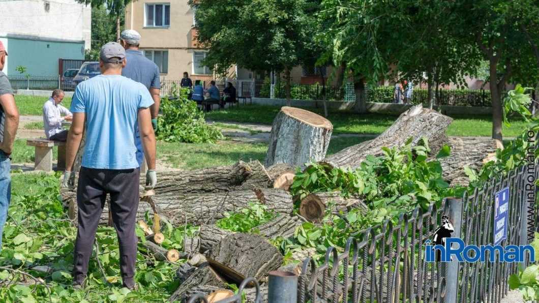 taiere nuci parc Biserica Armeneasca 7516